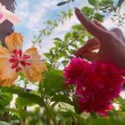 ヒメ日記 2025/10/19 06:30 投稿 一ノ瀬　あやこ 川崎南町人妻高級ソープ エル・カーヒル(ELCURHIL)秘密の刻