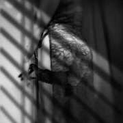 ヒメ日記 2025/11/17 22:38 投稿 一ノ瀬　あやこ 川崎南町人妻高級ソープ エル・カーヒル(ELCURHIL)秘密の刻