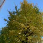 ヒメ日記 2025/11/19 09:43 投稿 一ノ瀬　あやこ 川崎南町人妻高級ソープ エル・カーヒル(ELCURHIL)秘密の刻