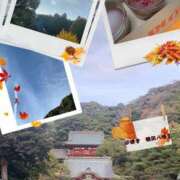 ヒメ日記 2025/11/24 12:06 投稿 一ノ瀬　あやこ 川崎南町人妻高級ソープ エル・カーヒル(ELCURHIL)秘密の刻