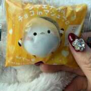 ヒメ日記 2026/01/18 11:52 投稿 一ノ瀬　あやこ 川崎南町人妻高級ソープ エル・カーヒル(ELCURHIL)秘密の刻