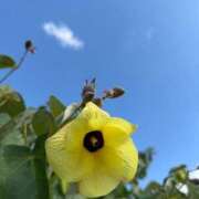 ヒメ日記 2026/01/20 18:16 投稿 一ノ瀬　あやこ 川崎南町人妻高級ソープ エル・カーヒル(ELCURHIL)秘密の刻