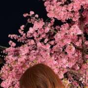 ヒメ日記 2026/03/03 00:08 投稿 一ノ瀬　あやこ 川崎南町人妻高級ソープ エル・カーヒル(ELCURHIL)秘密の刻