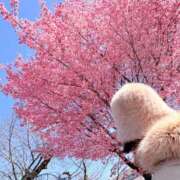 ヒメ日記 2026/03/05 23:27 投稿 一ノ瀬　あやこ 川崎南町人妻高級ソープ エル・カーヒル(ELCURHIL)秘密の刻