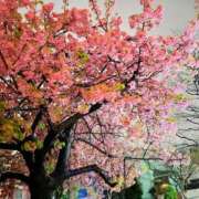 ヒメ日記 2026/03/06 23:34 投稿 一ノ瀬　あやこ 川崎南町人妻高級ソープ エル・カーヒル(ELCURHIL)秘密の刻