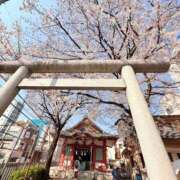 ヒメ日記 2026/03/29 15:02 投稿 一ノ瀬　あやこ 川崎南町人妻高級ソープ エル・カーヒル(ELCURHIL)秘密の刻