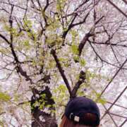 ヒメ日記 2026/04/05 12:14 投稿 一ノ瀬　あやこ 川崎南町人妻高級ソープ エル・カーヒル(ELCURHIL)秘密の刻