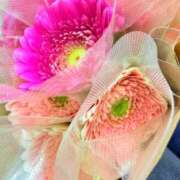 ヒメ日記 2026/04/18 13:43 投稿 一ノ瀬　あやこ 川崎南町人妻高級ソープ エル・カーヒル(ELCURHIL)秘密の刻