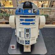 ヒメ日記 2025/05/06 15:04 投稿 新垣 はる マーベリック横浜