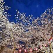 ヒメ日記 2025/05/07 17:14 投稿 新垣 はる マーベリック横浜