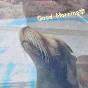 ヒメ日記 2025/05/16 07:34 投稿 新垣 はる マーベリック横浜