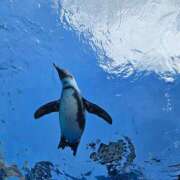 ヒメ日記 2025/05/21 08:04 投稿 新垣 はる マーベリック横浜