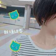 ヒメ日記 2025/05/24 11:53 投稿 新垣 はる マーベリック横浜