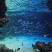 ヒメ日記 2025/06/28 11:25 投稿 新垣 はる マーベリック横浜