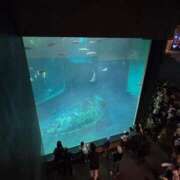 ヒメ日記 2025/09/24 07:34 投稿 新垣 はる マーベリック横浜