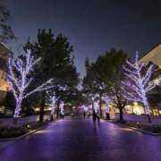 ヒメ日記 2025/10/12 19:24 投稿 新垣 はる マーベリック横浜