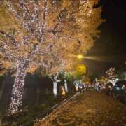 ヒメ日記 2025/12/22 22:04 投稿 新垣 はる マーベリック横浜