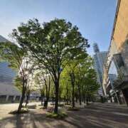 新垣 はる めちゃ綺麗… マーベリック横浜