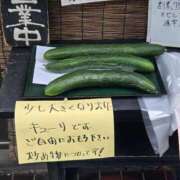 ヒメ日記 2026/07/14 23:04 投稿 新垣 はる マーベリック横浜