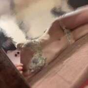 ヒメ日記 2025/07/07 12:36 投稿 れん ジャパンクラブ富士