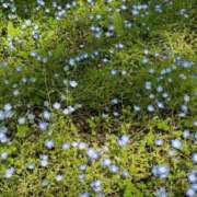 ヒメ日記 2025/05/01 16:56 投稿 小泉 昼顔妻 五反田店