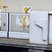 ヒメ日記 2025/08/19 15:17 投稿 るいす パリス雄琴店