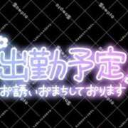 ヒメ日記 2025/12/12 14:55 投稿 雛鳥　めい 熟女パラダイス甲府店（カサブランカグループ）