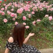 ヒメ日記 2025/05/24 01:35 投稿 まる バイオレンス