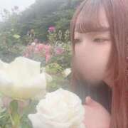 ヒメ日記 2025/05/29 12:07 投稿 まる バイオレンス