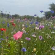 まる さて質問です(｡•ω•｡)﻿ バイオレンス