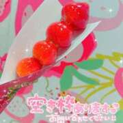 ヒメ日記 2025/04/29 15:23 投稿 ぽむ 横浜ハッピーマットパラダイス