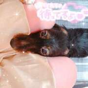 ヒメ日記 2025/08/02 12:33 投稿 ぽむ 横浜ハッピーマットパラダイス