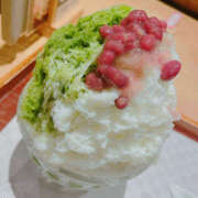 ヒメ日記 2025/08/08 11:53 投稿 ぽむ 横浜ハッピーマットパラダイス