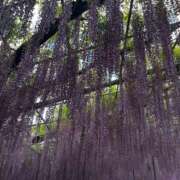 ヒメ日記 2025/05/10 20:44 投稿 ちとせ しゃんぜりぜ