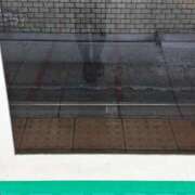 ヒメ日記 2025/05/20 09:24 投稿 ちとせ しゃんぜりぜ