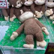 ヒメ日記 2026/01/22 12:24 投稿 ちとせ しゃんぜりぜ