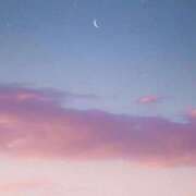 ヒメ日記 2026/04/25 21:02 投稿 ふうり ピンクコレクション尼崎店