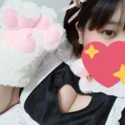 ヒメ日記 2025/10/26 18:53 投稿 ふわり ちゃんこ本厚木店