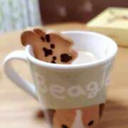 ヒメ日記 2025/11/12 19:16 投稿 ふわり ちゃんこ本厚木店