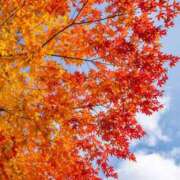 ヒメ日記 2025/10/08 07:15 投稿 南りん セカンドパートナー