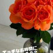 ヒメ日記 2025/11/01 11:50 投稿 南りん セカンドパートナー