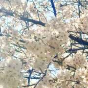 南りん 新しい季節の始まり、特別なじかん セカンドパートナー本店