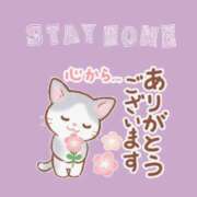 ヒメ日記 2025/05/30 14:02 投稿 秋本ひまり セカンドパートナー