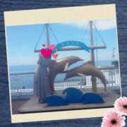 ヒメ日記 2025/07/03 09:08 投稿 秋本ひまり セカンドパートナー