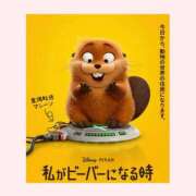 ヒメ日記 2026/04/23 14:14 投稿 秋本ひまり セカンドパートナー本店