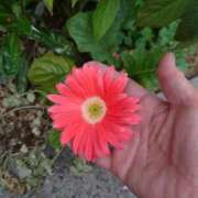 ヒメ日記 2025/07/19 18:03 投稿 杉浦あやの セカンドパートナー