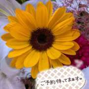 ヒメ日記 2025/07/20 18:56 投稿 杉浦あやの セカンドパートナー