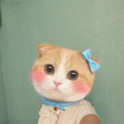 ヒメ日記 2025/10/08 10:06 投稿 杉浦あやの セカンドパートナー