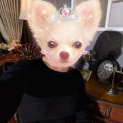 ヒメ日記 2025/11/03 21:44 投稿 杉浦あやの セカンドパートナー