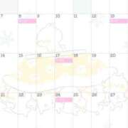 ひな 12月の予定♡ eroina